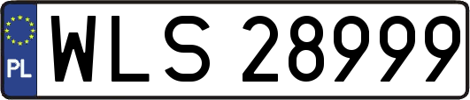 WLS28999