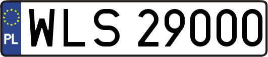 WLS29000