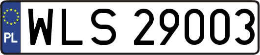 WLS29003