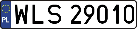 WLS29010