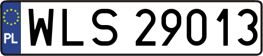 WLS29013
