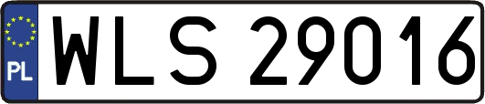 WLS29016