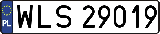 WLS29019