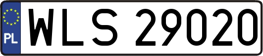 WLS29020