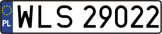 WLS29022