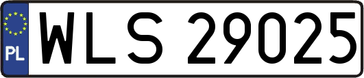 WLS29025