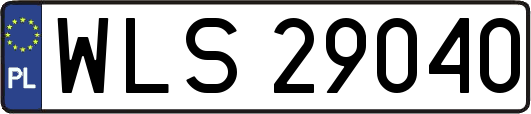 WLS29040