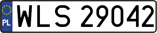 WLS29042