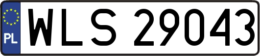 WLS29043