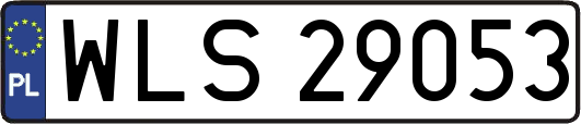 WLS29053