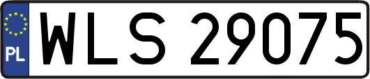 WLS29075
