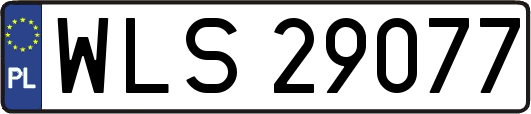 WLS29077