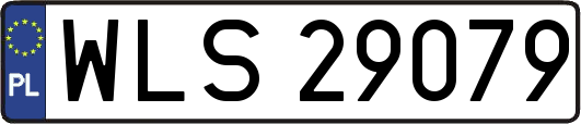 WLS29079