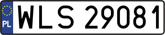 WLS29081