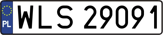 WLS29091