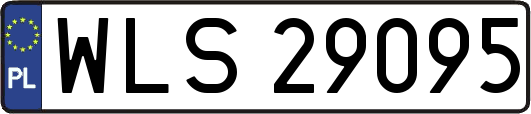 WLS29095