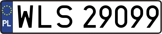 WLS29099