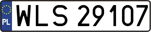 WLS29107