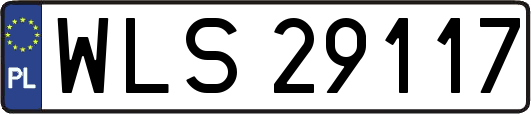 WLS29117