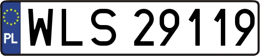 WLS29119