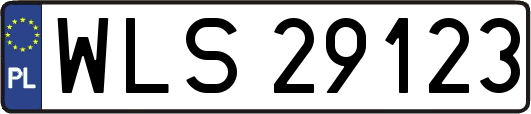 WLS29123
