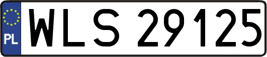 WLS29125
