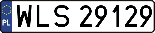 WLS29129