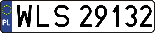 WLS29132