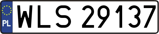 WLS29137