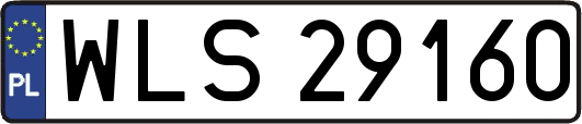 WLS29160