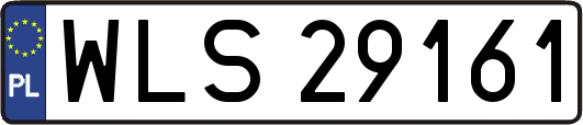WLS29161
