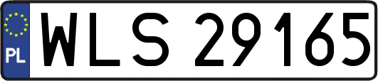 WLS29165