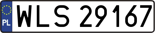 WLS29167