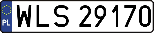 WLS29170