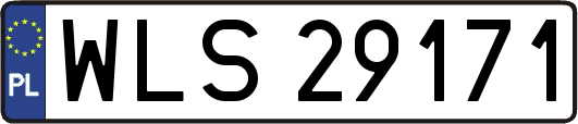 WLS29171