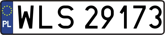 WLS29173