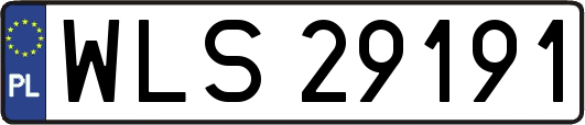 WLS29191