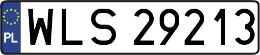 WLS29213