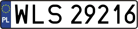 WLS29216