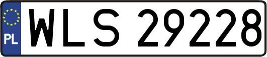 WLS29228
