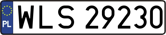 WLS29230