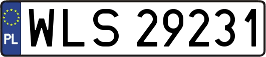 WLS29231