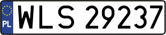 WLS29237