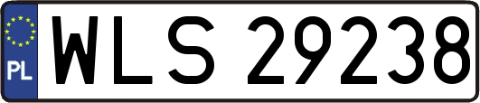 WLS29238