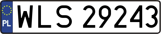 WLS29243