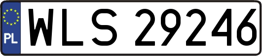 WLS29246
