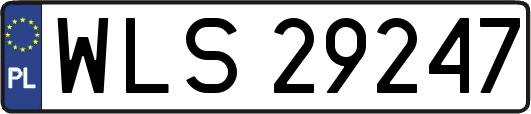 WLS29247
