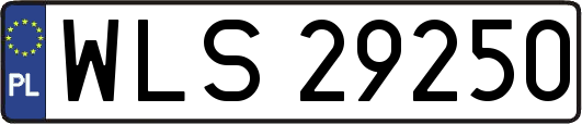 WLS29250