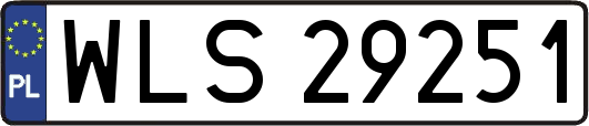 WLS29251