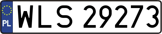WLS29273